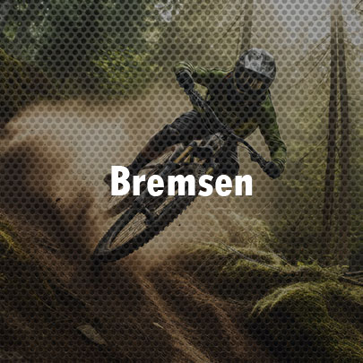 Bremsen