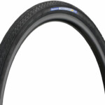 700 x 25C Panaracer Pasela ProTite Draht schwarz