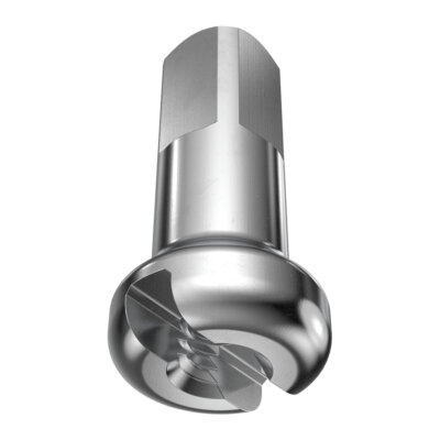 Speichennippel CN Spokes 2 x 12 mm Messing silber